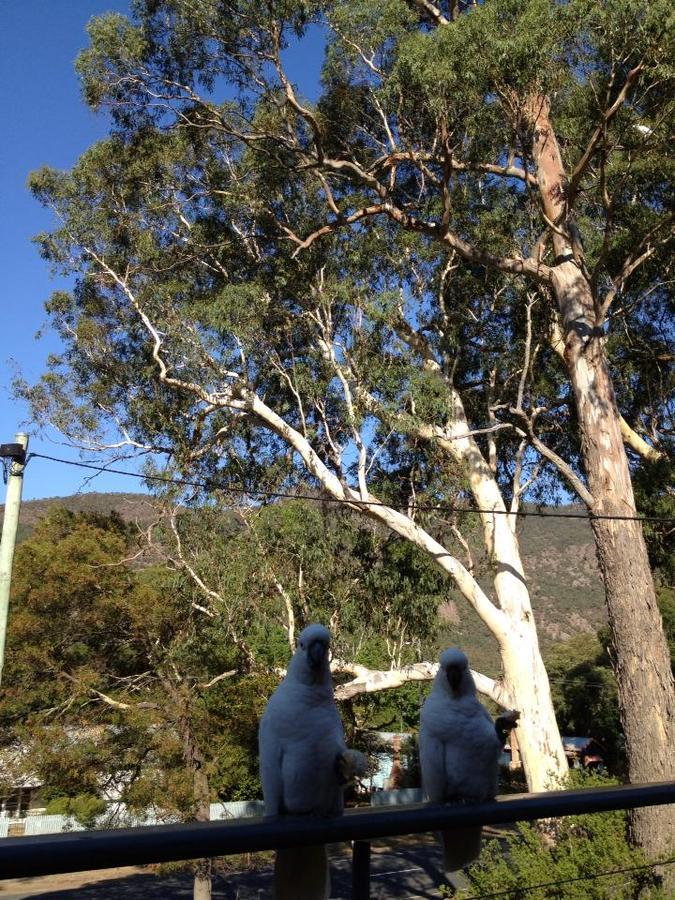 Glengarriff Townhouse 3 Villa Halls Gap Exterior foto